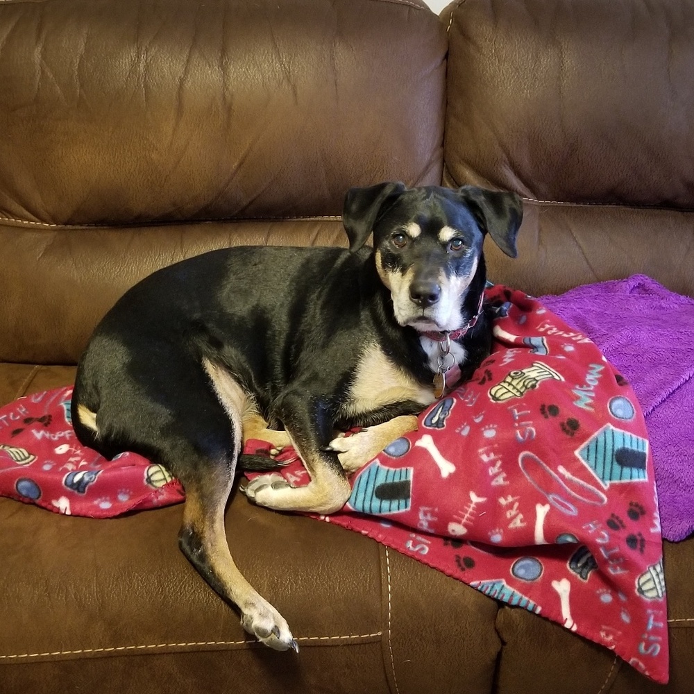 Not selling at this time